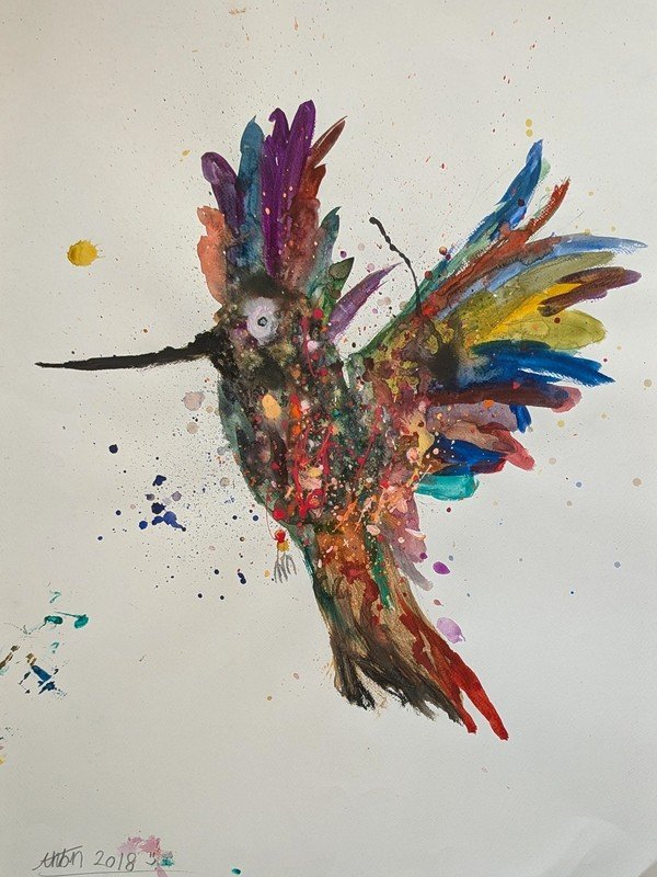Colourful flight