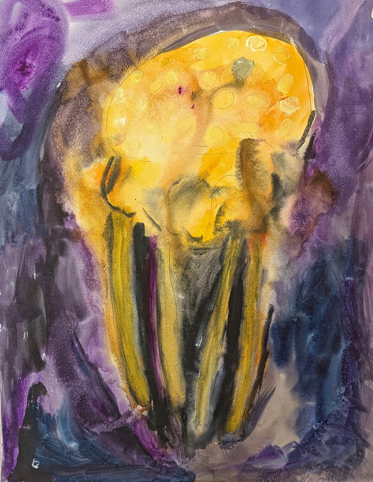 Meduusa